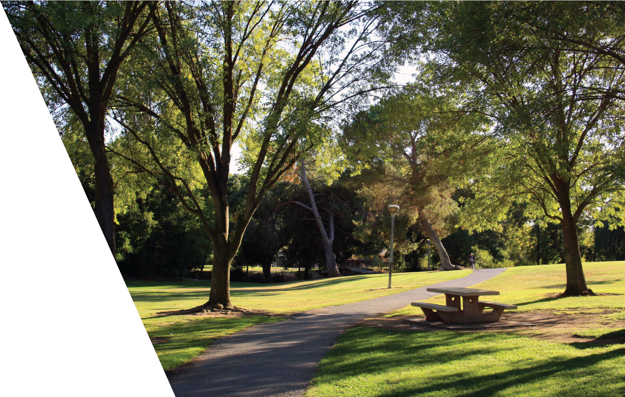 Strathmore-Landscape 